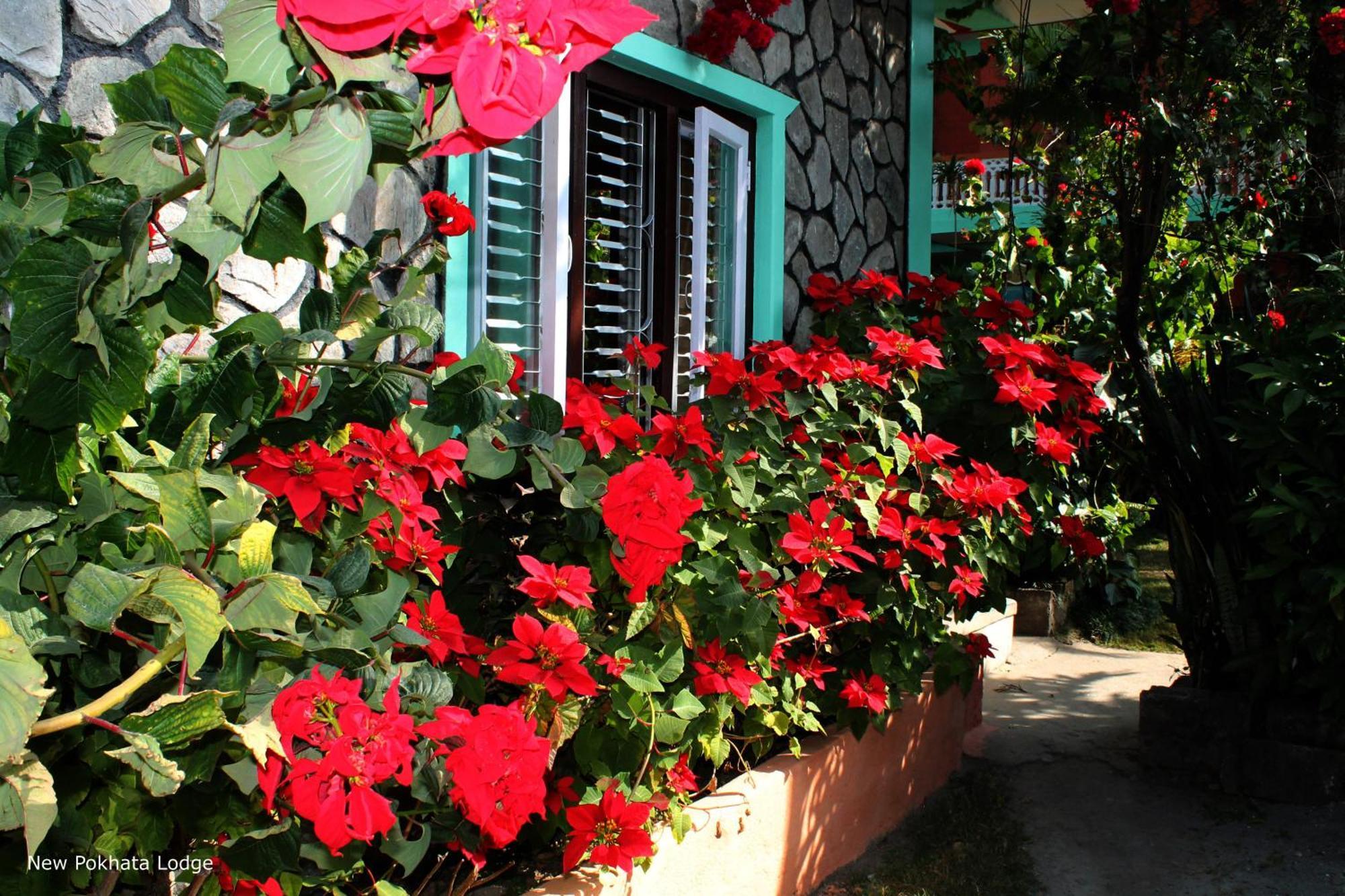 New Pokhara Lodge - Pokhara Lakeside Екстер'єр фото