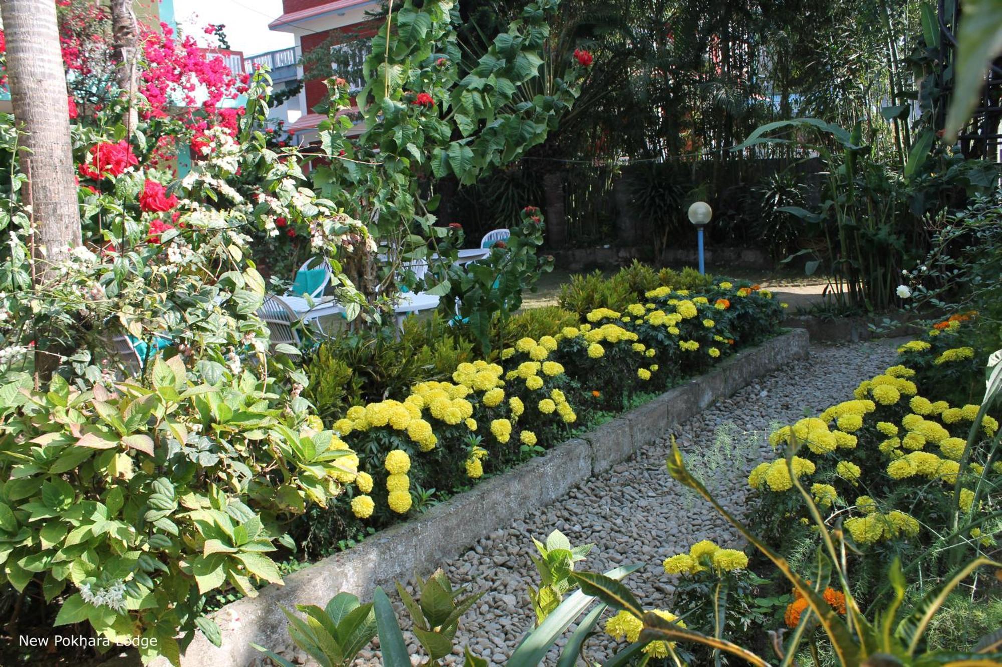New Pokhara Lodge - Pokhara Lakeside Екстер'єр фото